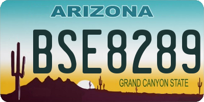 AZ license plate BSE8289