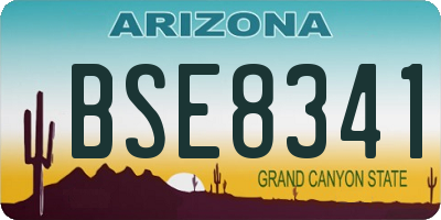 AZ license plate BSE8341