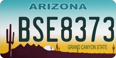 AZ license plate BSE8373
