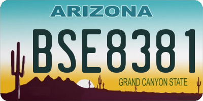 AZ license plate BSE8381