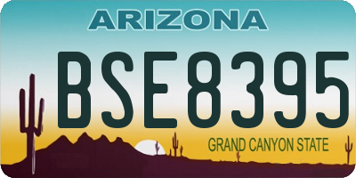 AZ license plate BSE8395