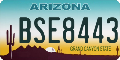 AZ license plate BSE8443