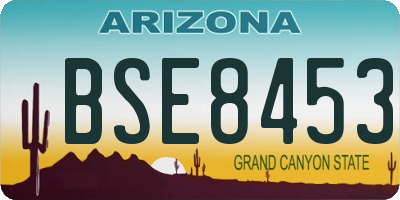 AZ license plate BSE8453