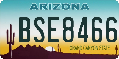 AZ license plate BSE8466