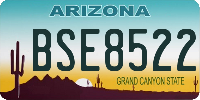 AZ license plate BSE8522