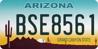 AZ license plate BSE8561