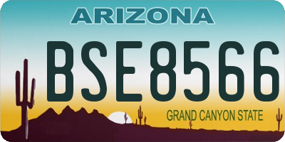 AZ license plate BSE8566
