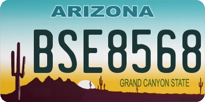 AZ license plate BSE8568