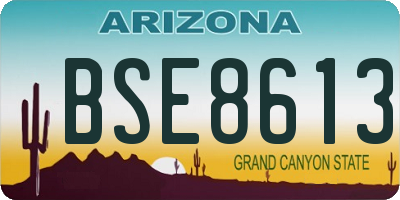 AZ license plate BSE8613