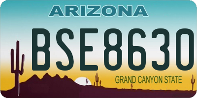 AZ license plate BSE8630