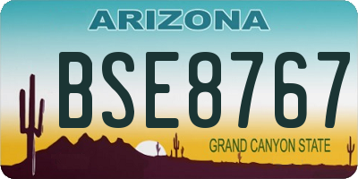 AZ license plate BSE8767