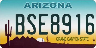 AZ license plate BSE8916