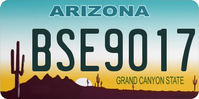 AZ license plate BSE9017