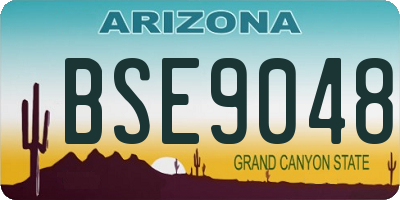 AZ license plate BSE9048
