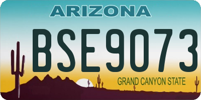 AZ license plate BSE9073