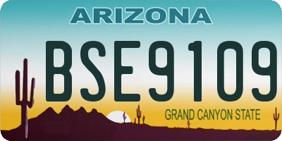 AZ license plate BSE9109