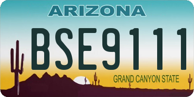 AZ license plate BSE9111