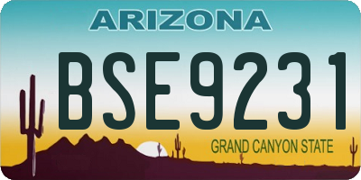 AZ license plate BSE9231