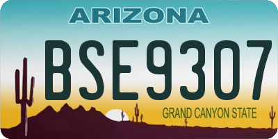 AZ license plate BSE9307