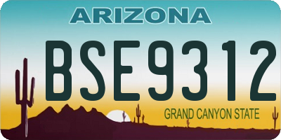 AZ license plate BSE9312