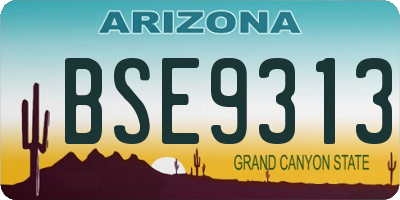 AZ license plate BSE9313