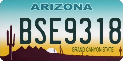 AZ license plate BSE9318