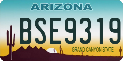 AZ license plate BSE9319