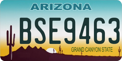 AZ license plate BSE9463
