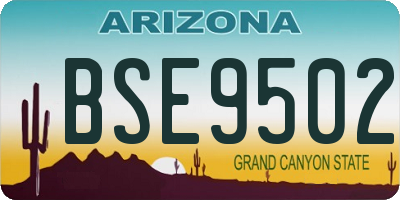 AZ license plate BSE9502