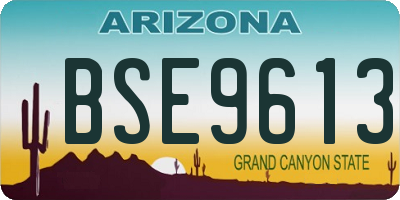 AZ license plate BSE9613