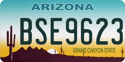 AZ license plate BSE9623