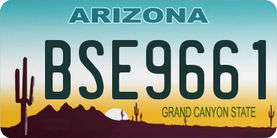 AZ license plate BSE9661