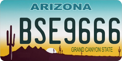 AZ license plate BSE9666
