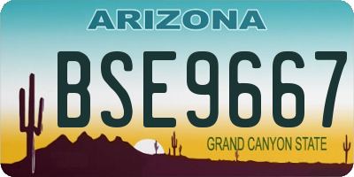 AZ license plate BSE9667