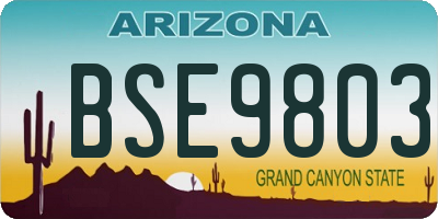 AZ license plate BSE9803
