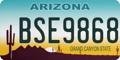 AZ license plate BSE9868