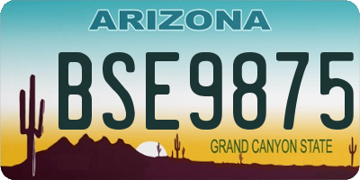 AZ license plate BSE9875