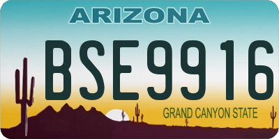 AZ license plate BSE9916
