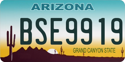 AZ license plate BSE9919