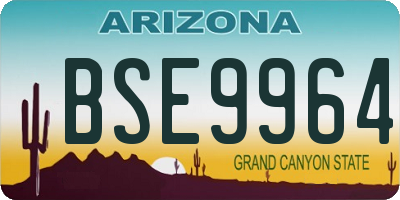 AZ license plate BSE9964