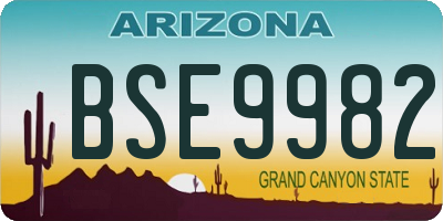 AZ license plate BSE9982