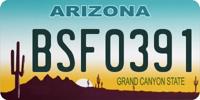 AZ license plate BSF0391