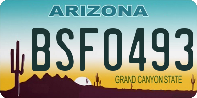 AZ license plate BSF0493