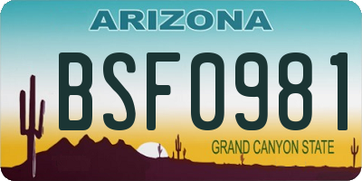AZ license plate BSF0981