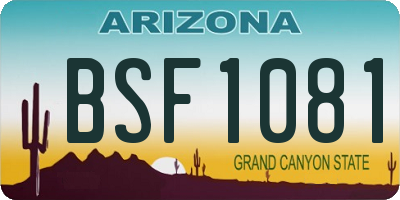 AZ license plate BSF1081