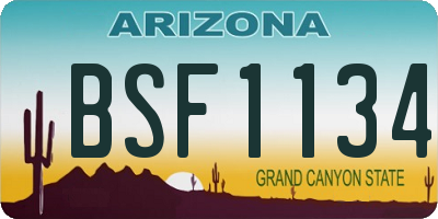 AZ license plate BSF1134