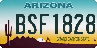 AZ license plate BSF1828