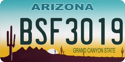 AZ license plate BSF3019