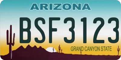 AZ license plate BSF3123