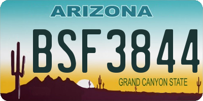 AZ license plate BSF3844